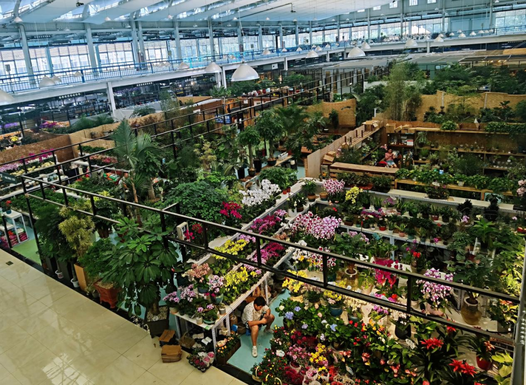 北京花卉批发市场(北京花卉批发市场进货渠道) - 泉兴百科