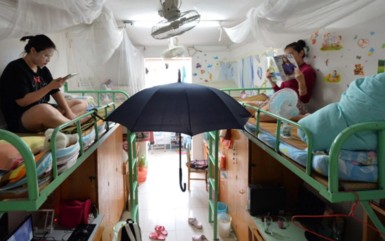 女生哭诉想念本科室友，读研之后寝室关系冷漠，大家各忙各的