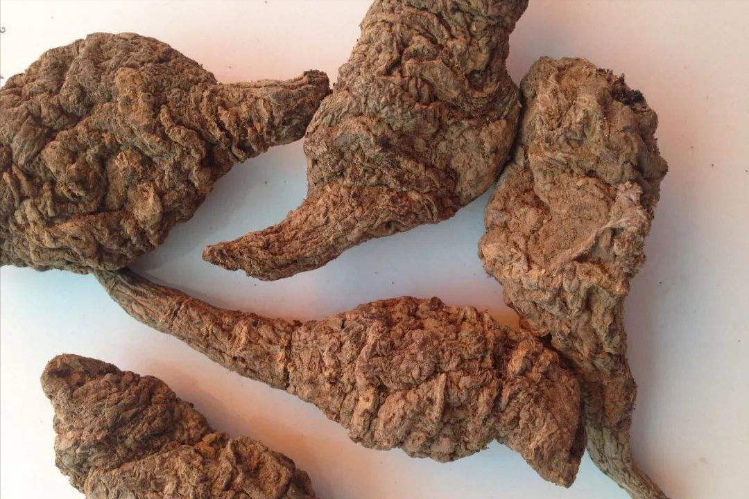 知柏地黄汤,用于糖尿病早期治疗,滋阴清热