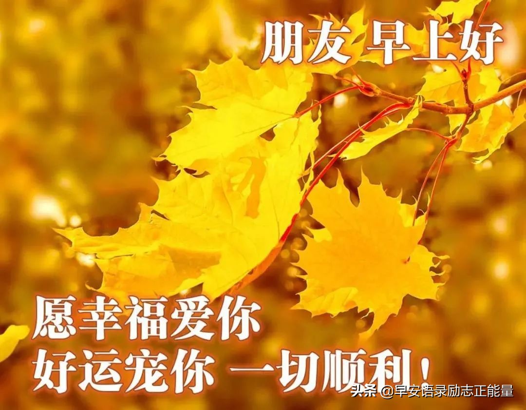 早安心语励志的语句，2022正能量励志语录短句