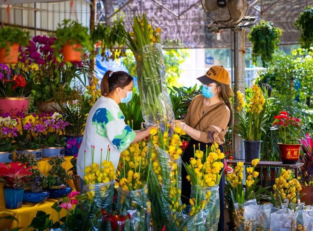 从化室内花卉哪些种类（年货推介第一弹！广东花市强势回归，哪朵花是你的最爱？（附各地市购花攻略））