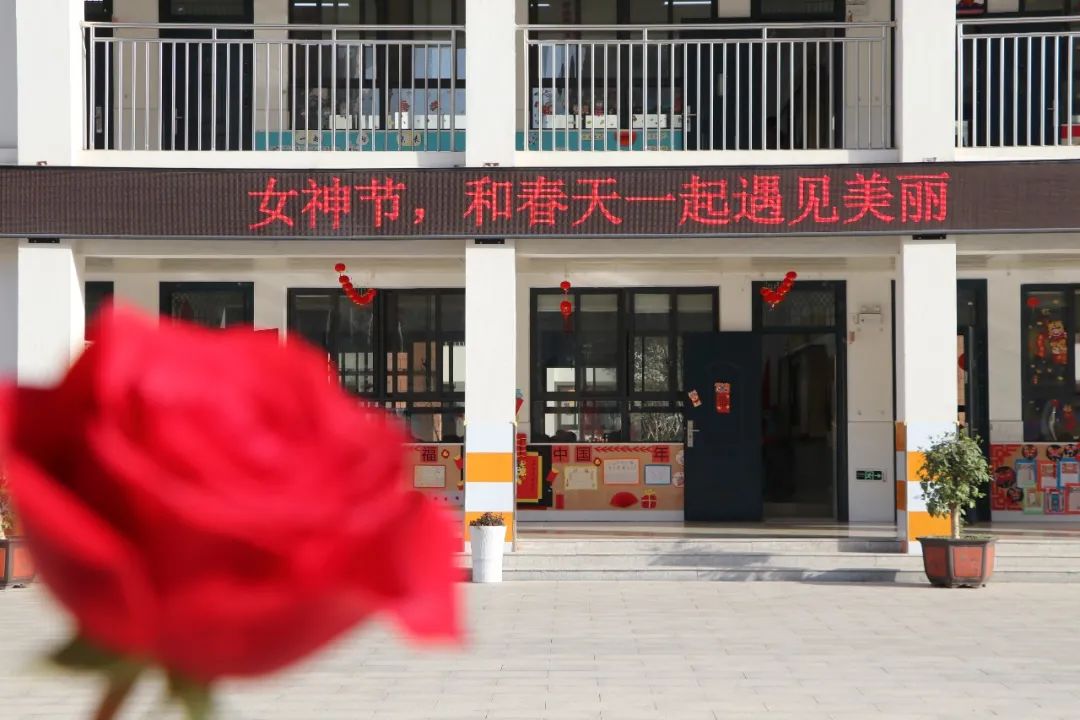 羊山外国语小学东校区 你和三月 都是春天 天天看点