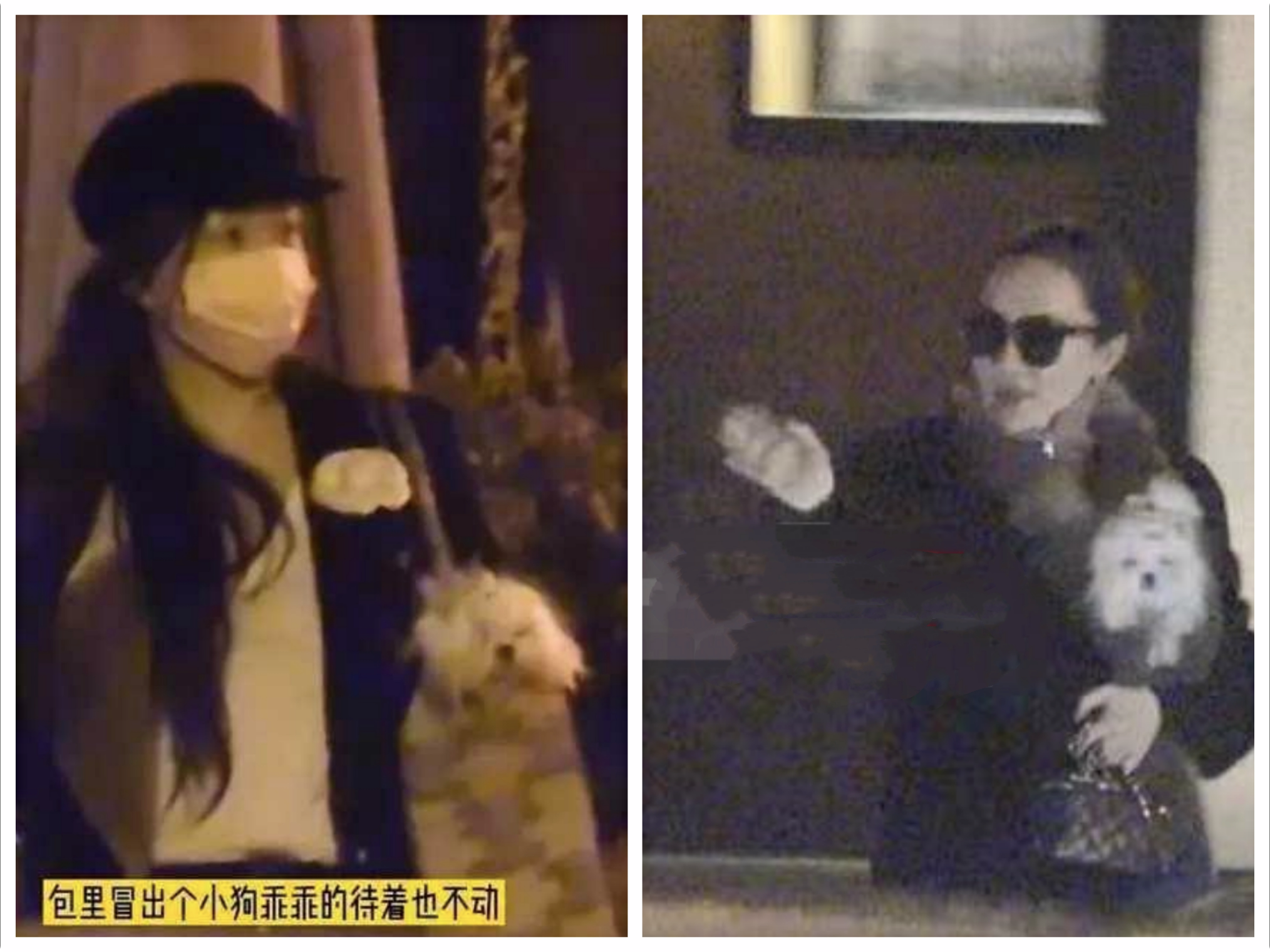 霍思燕晒烫头视频，素颜无滤镜呈现幸福肥，嗯哼时隔半年可爱出镜