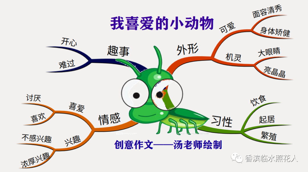 可爱的小猫的思维导图图片