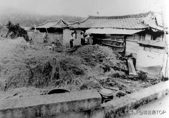 走进真实的罪恶！盘点五大真实犯罪事件改编电影，“部部”惊心