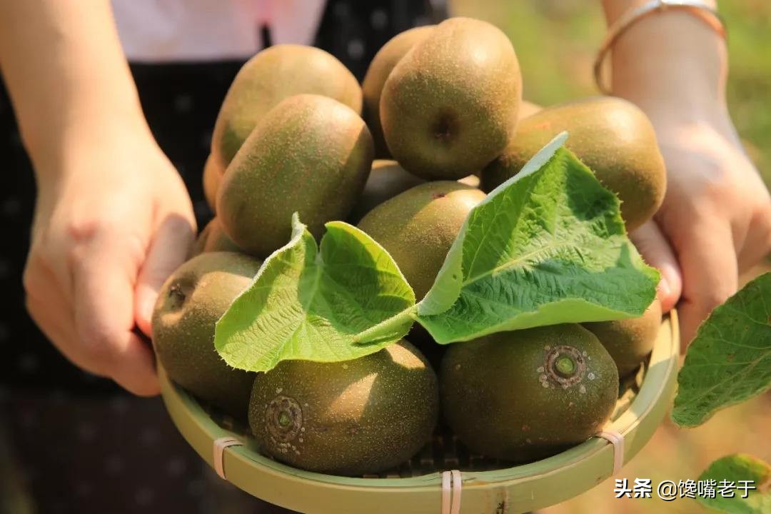 建议中老年人：过年买水果，这5种可以放心吃，低糖好吃营养高