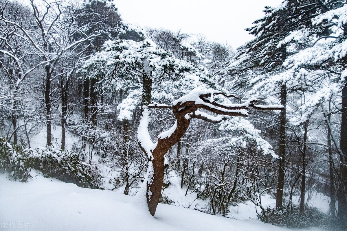 办公室主任（长篇连载）