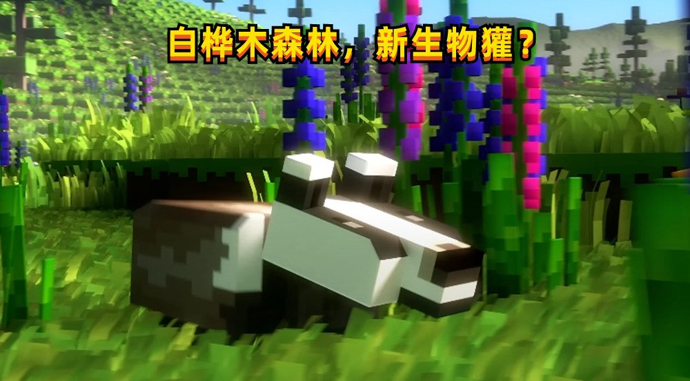 我的世界用指令获得的物品(MinecraftLive、披风、UI问卷、新生物獾等更多本周mc大事件)