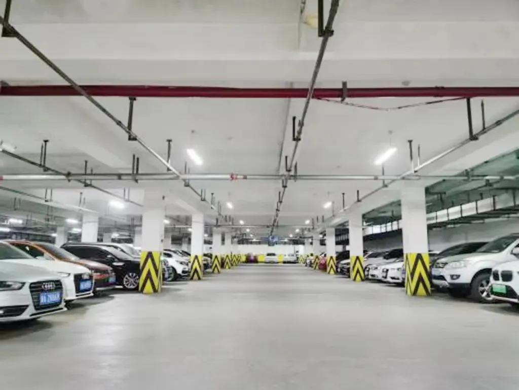 首批！中国计量大学荣获“浙江省绿色学校（高等学校）”称号