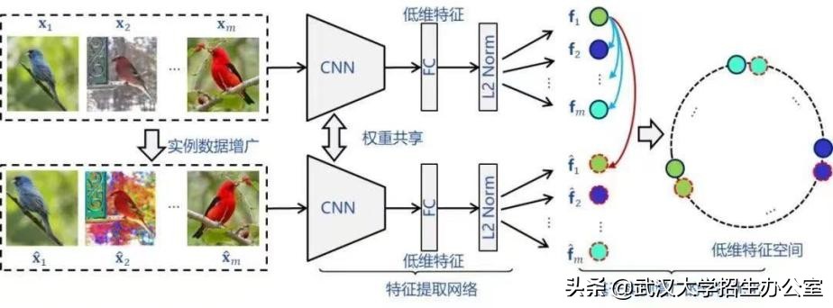 膜拜！91年出生，29岁出任985正教授、博导，他直言要培养出更多“雷军”！