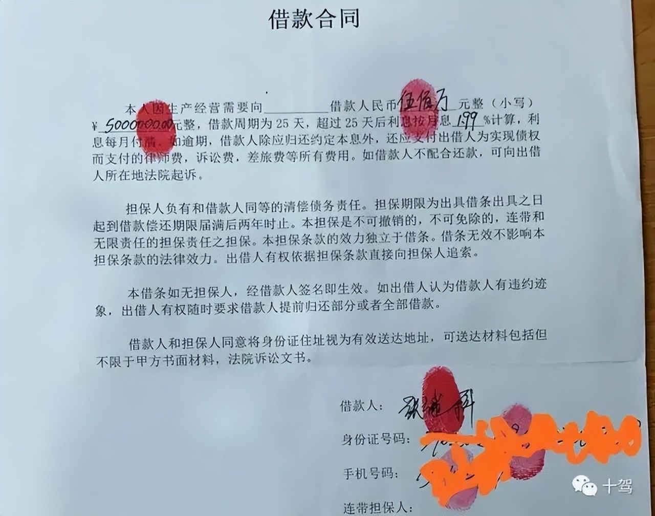 为啥把张继科藏獒（张继科：回不去的“藏獒”）