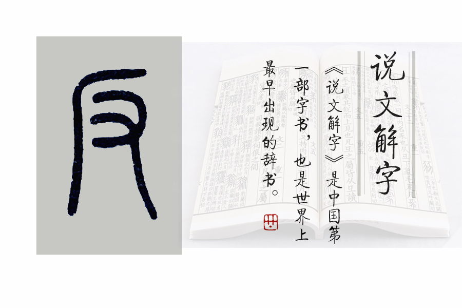《说文解字》552课:细说"反"字,成语易如反掌的"反"何义?