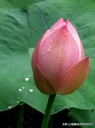 心语：临近退休的的内心感悟