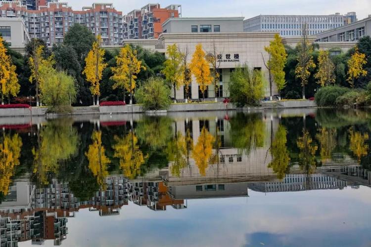 西南财经大学校园网「西南财经大学校园网认证登录入口」-爱妻自媒体