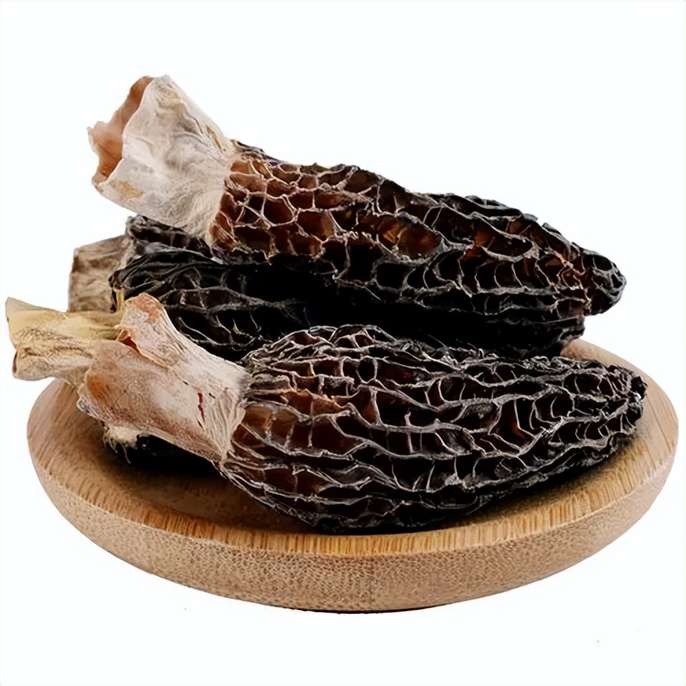 常见菌菇的区别(多到停不下来)