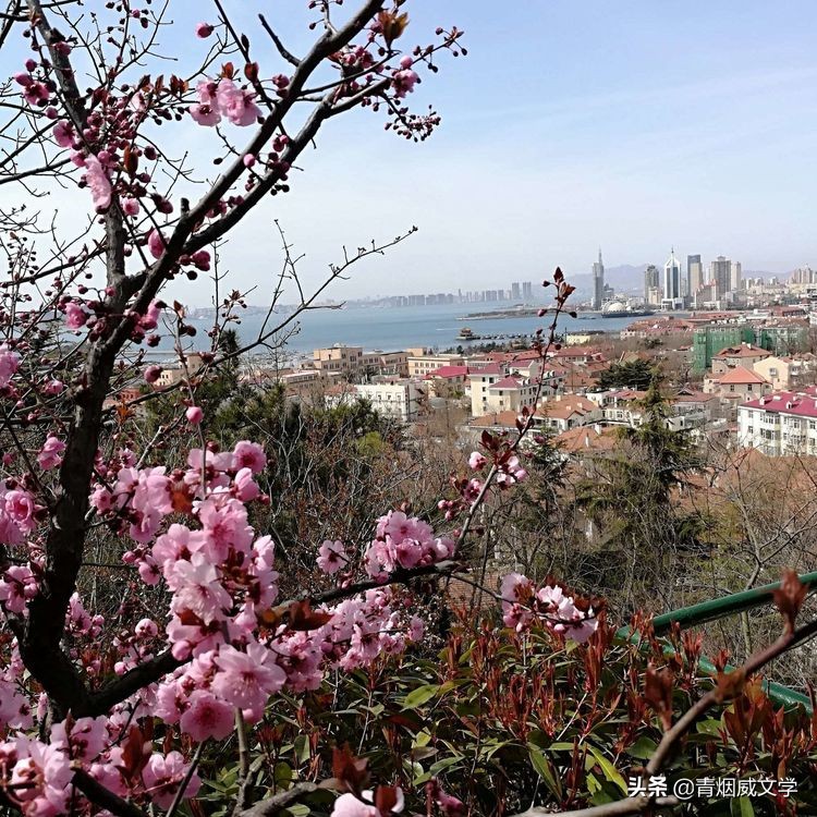 桃红柳绿蜂蝶舞 如月风景美如画（诗六首）