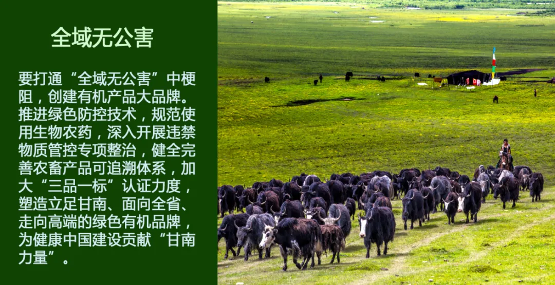 请回答,甘南2025!