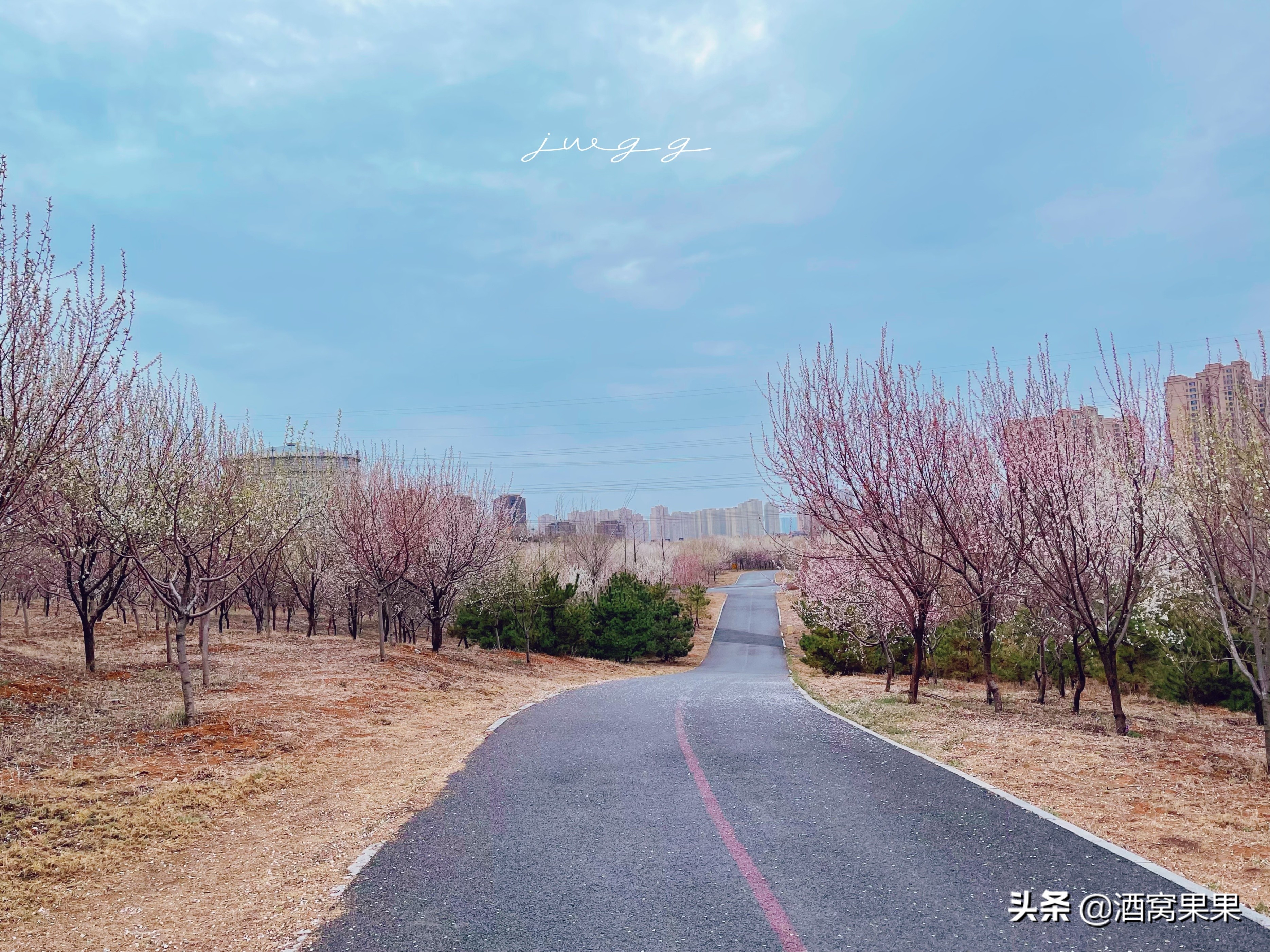 大连幼儿足球培训机构(大连湾体育公园，十里桃花，不要门票停车免费还可露营遛娃)