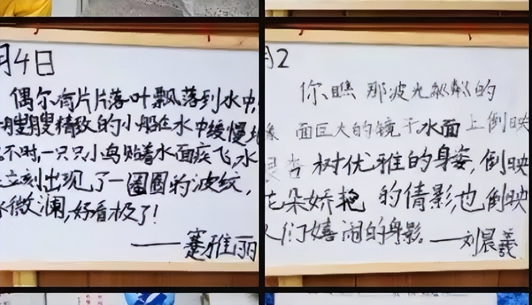 兰花喜阅读 书香润童年｜走进实验小学外国语学校书香班级3.1班