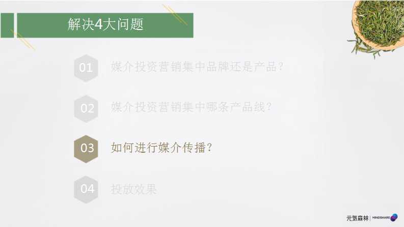 元气森林森林媒介投资规划PPT「食品饮料」「种草带货」