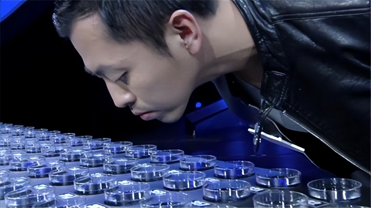 最强大脑第一期 最强大脑第七免费-佳迪双