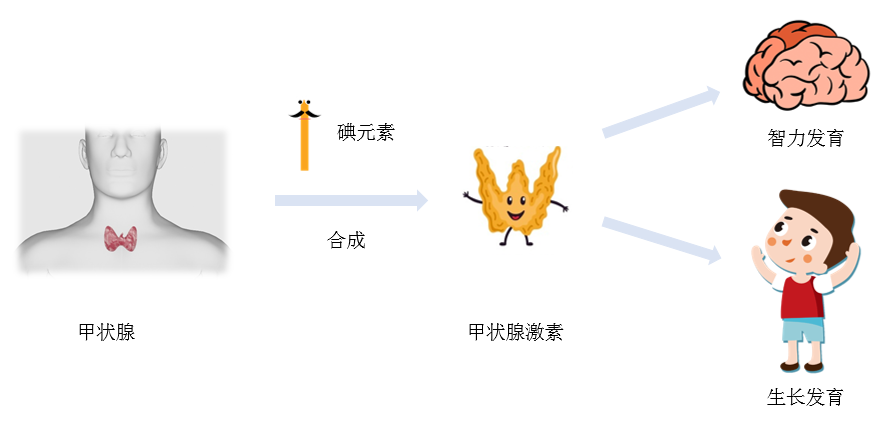 不想输在起跑线，这种微量元素孕期就要注意补充