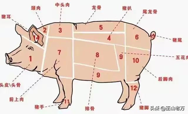 员工食堂大锅菜（猪肉最常用的菜品菜单分享）