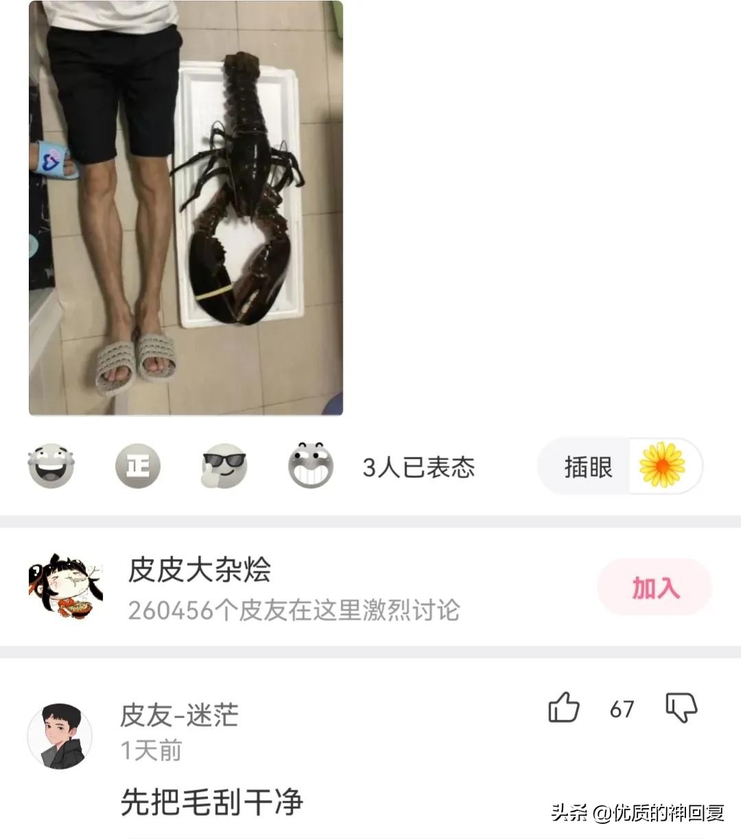 “妹子，你知道衣服上的字是什么意思吗？”哈哈哈自信的女孩最美