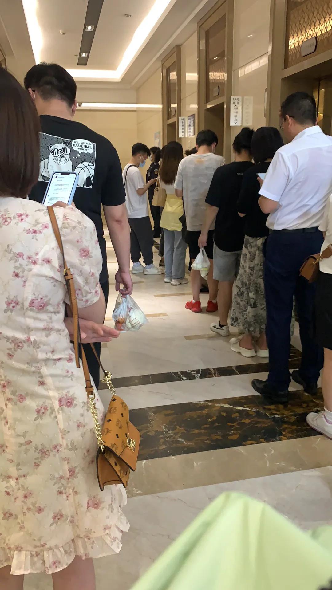 梁田｜湖南卫视主持人｜美图壁纸高清写真