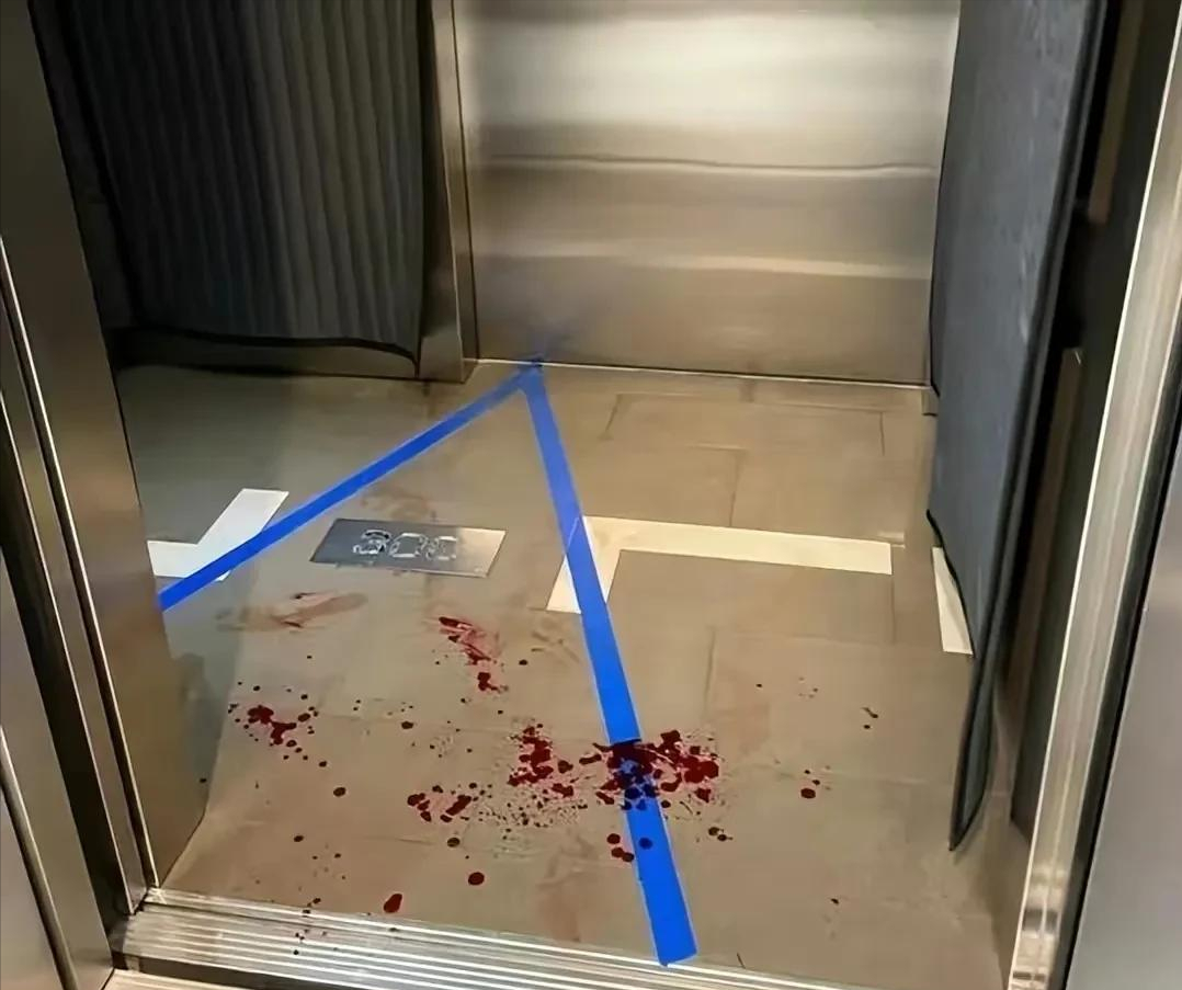 《非诚勿扰》女嘉宾王佳：闪婚俩月后残忍杀夫，她的悲剧让人唏嘘