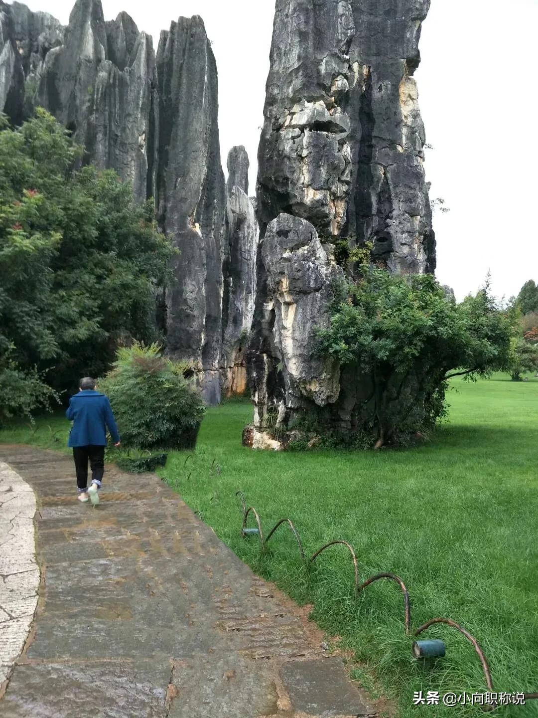 母爱如山！我至亲至爱伟大而平凡的母亲