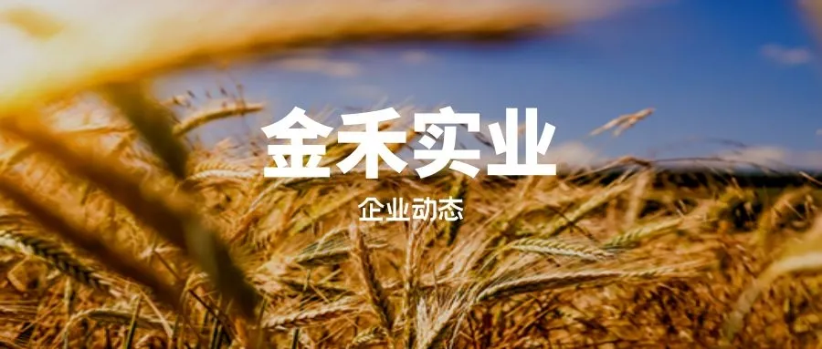 金禾实业未来成长在哪里？