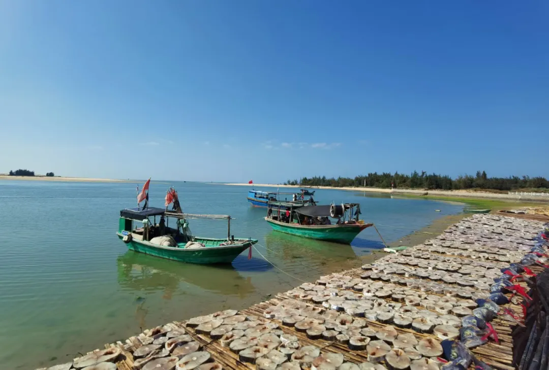 海南西线宝藏度假地，拥有媲美三亚的海景，物价却特别便宜