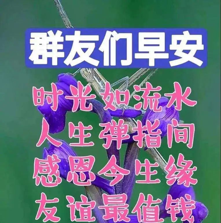 全力以赴又满载而归，做美好的事，变成更美好的人，早安