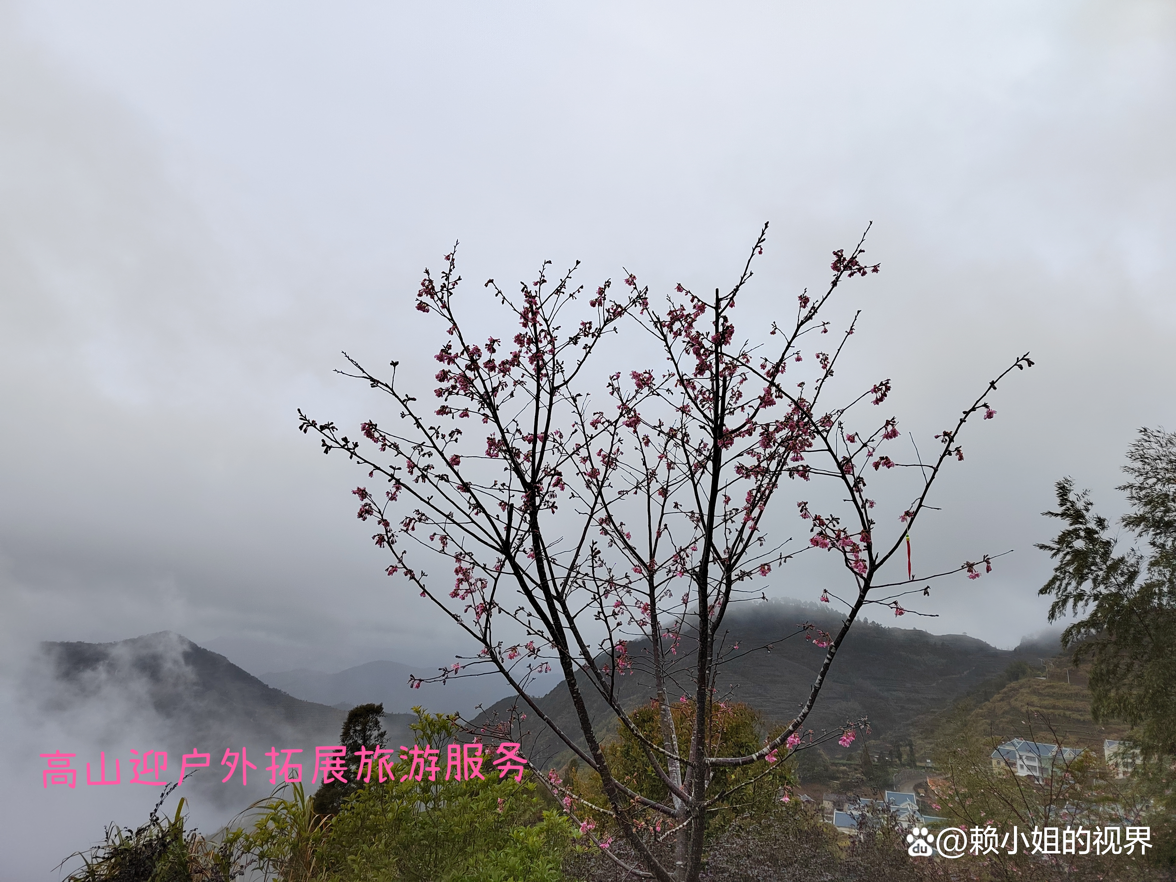 ��ɽ��Ӫ�壬�����׽���Լ����ӣ����