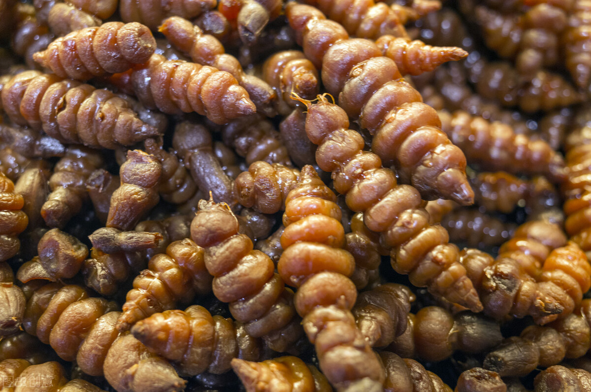 地环也是一味中药,中药名草石蚕.地环