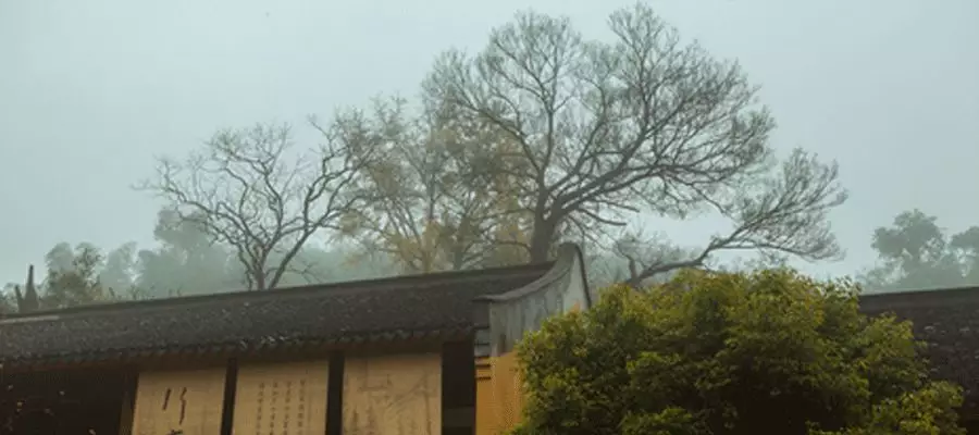 山居,生活本来的样子