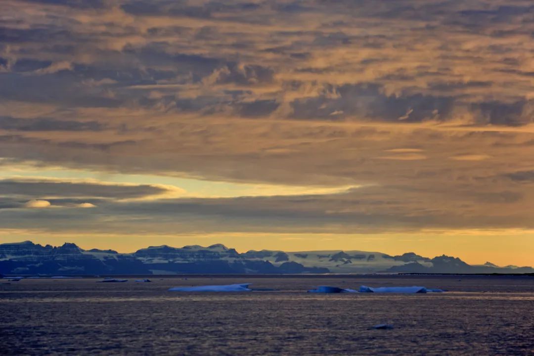胡杏儿、张歆艺唱哭全场：好好跟过去道别，才有力量奔赴未来