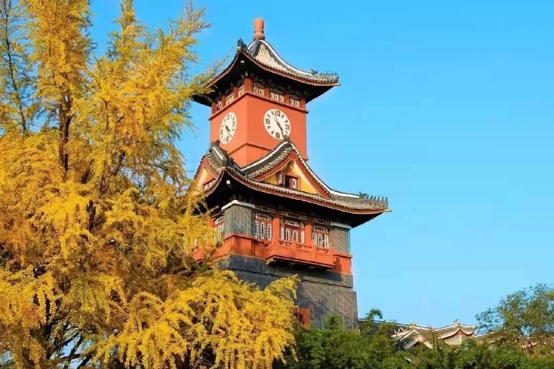 招生专业数全国前三！强基计划，就选川大！