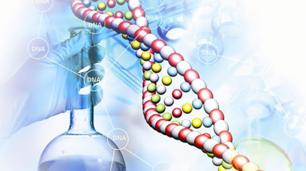 2021年英国大学最难学的十大专业发布！想挑战一下自己吗？