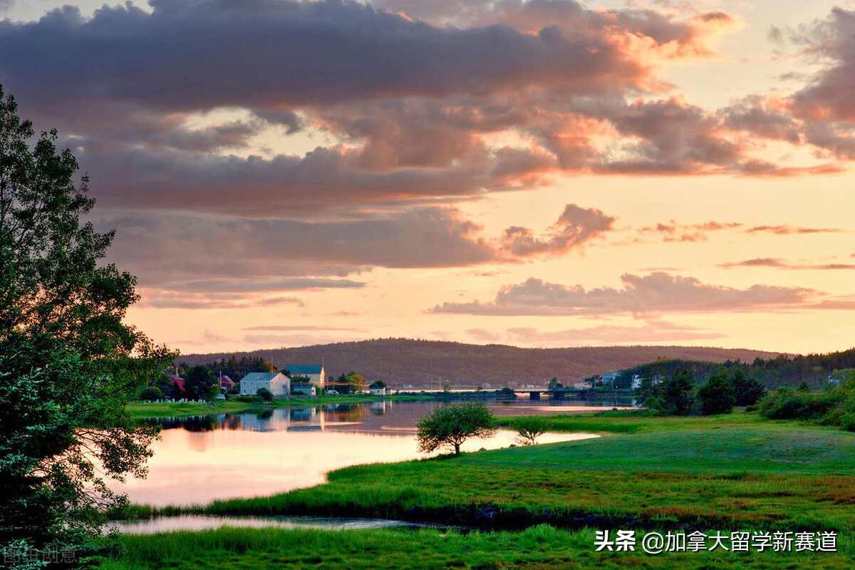 加拿大学校（有哪些）