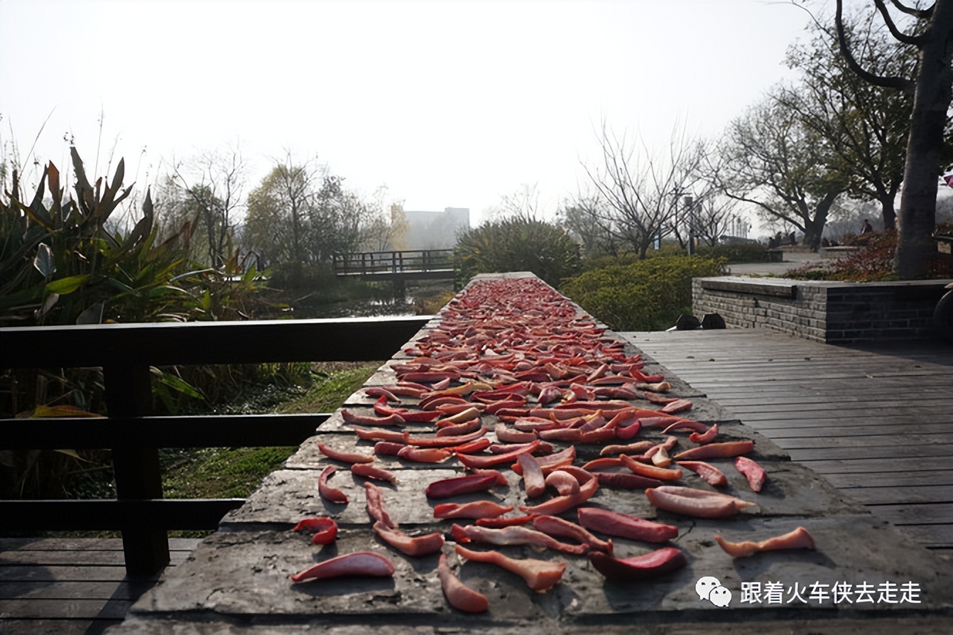 跟我去桦墅——冬日暖阳下的桦墅村（下）