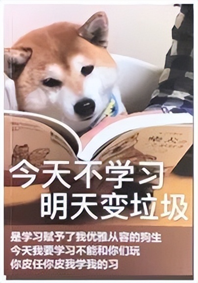 「干货收藏」一个“卷王”的暑期德语学习计划