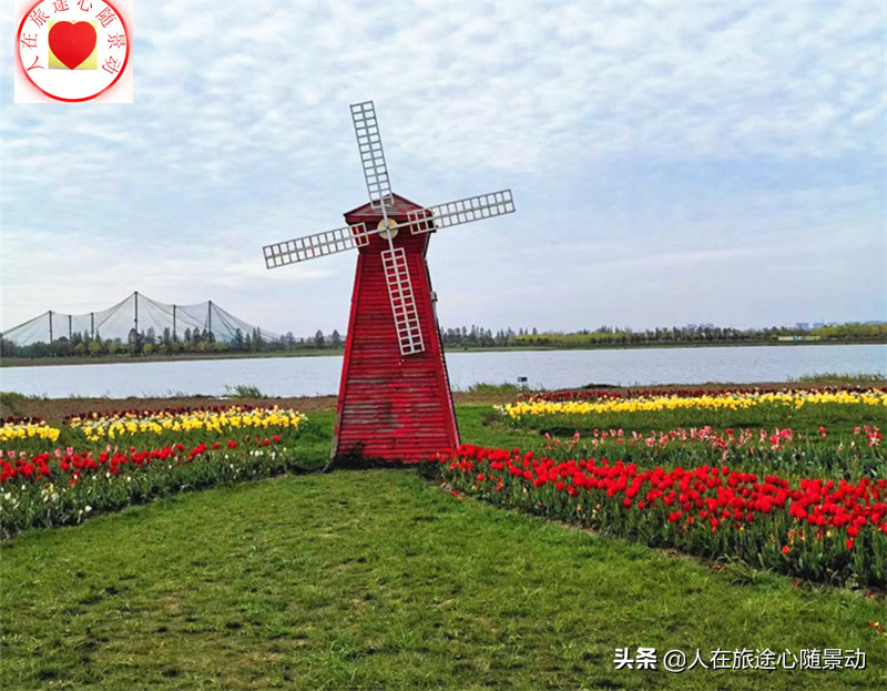 南京公园年票,南京公园年票2022全年办理