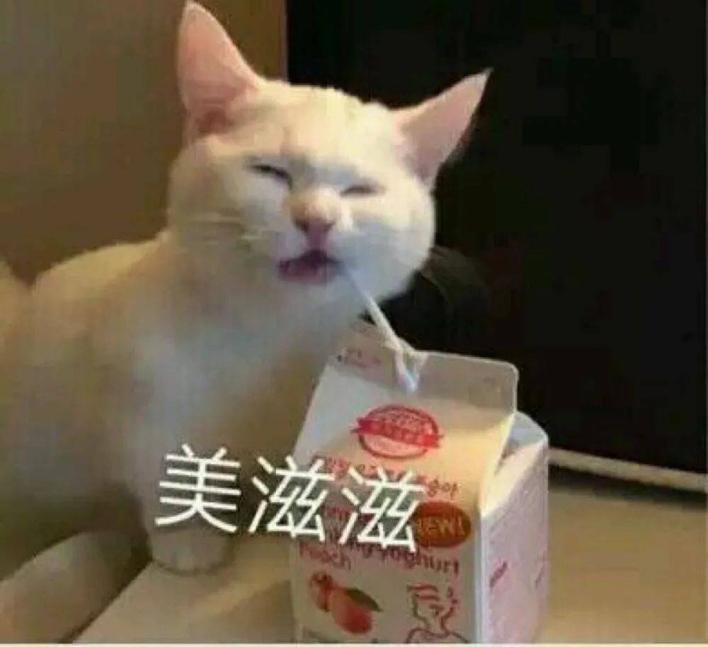 被王思聪怒喷傻 X，币圈大佬孙宇晨凉了
