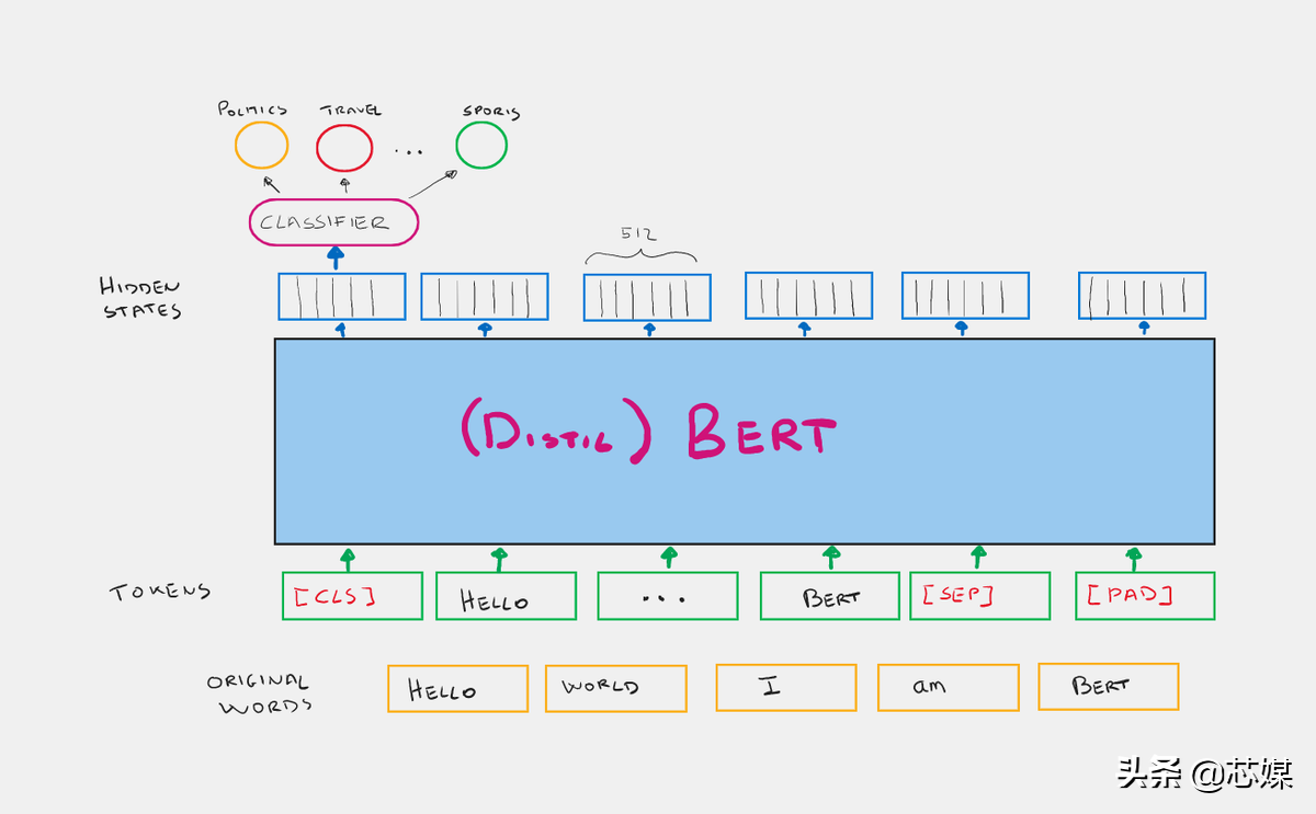 使用 BERT 进行特征提取以进行文本分类