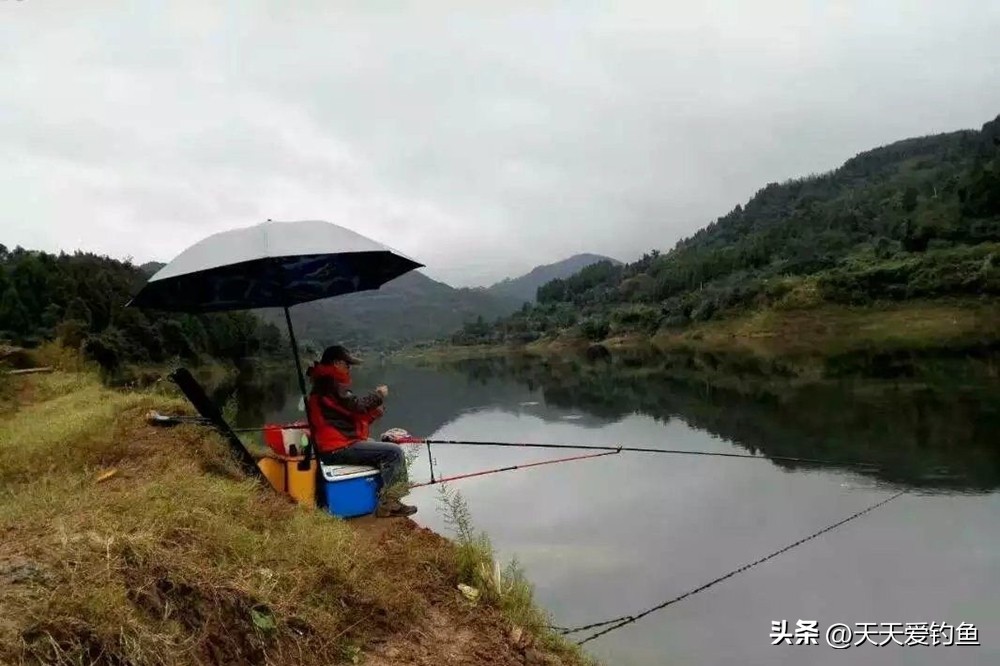 夏天什么风向适合钓鱼（夏天钓鱼什么风向好钓）-第3张图片-科灵网