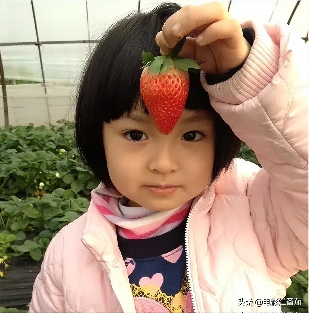 红极一时的童星，纷纷找出路，有的当上CEO，有的沦落街头摆地摊