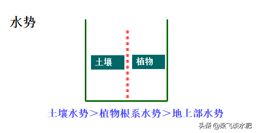 干播湿出下的五个问题与四点建议