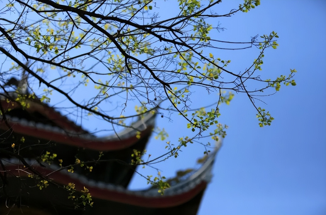 汇天下英才，育大国良医 ！ 欢迎报考川大华西！